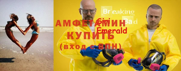 гашиш Богданович